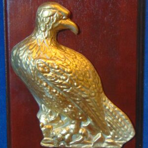 Rapace-1.jpg